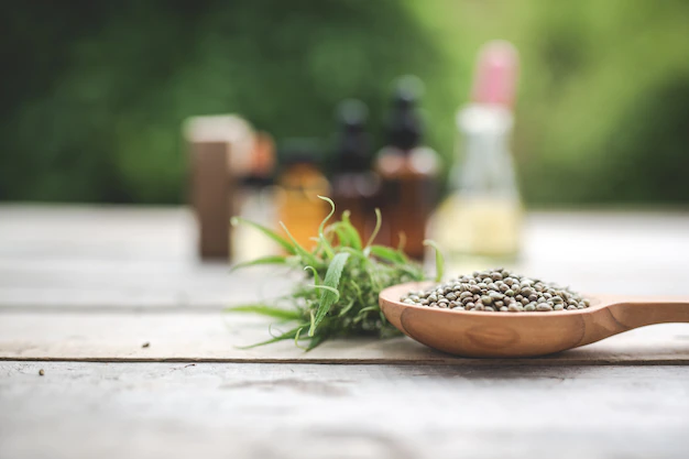 Best CBD Extraction Method