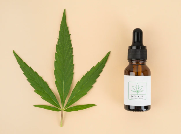 Best Time of Day to Take CBD Oil