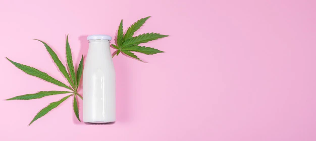 Hemp Milk